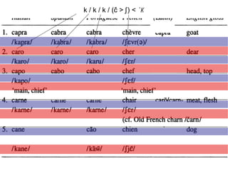 k / k / k / (č > ʃ   ) <  *k   