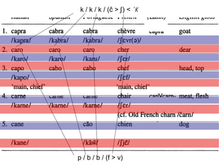 p / b / b / (f > v)  k / k / k / (č > ʃ   ) <  *k   