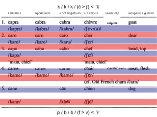 p / b / b / (f > v) <  *p   k / k / k / (č > ʃ   ) <  *k   