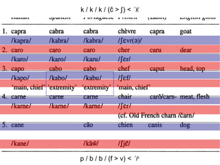 p / b / b / (f > v) <  *p   k / k / k / (č > ʃ   ) <  *k   