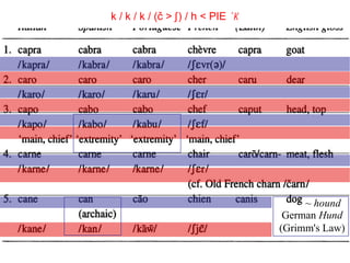 ~  hound German  Hund (Grimm's Law) k / k / k / (č > ʃ   ) / h < PIE  *k   