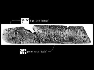 i-qo   ik w o  ‘horses’ po-lo  po:lo  ‘foals’  
