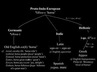 Proto-Indo-European *ékwo-s  ‘horse’ Latin equ-os ~ equ-us cf . English  equestrian Greek hippos cf . English  hippopotamus, Philip  ( fr.  Φίλιππος) ‘ lover of horses’ *e > i   (i.e.,  ik w os ) *Ø- > h- *k w - > pp- Italic ´ Old English  eo ( h )   ‘horse’ cf . é ored , cavalry (lit. ‘horse-ride’) éothéod , horse people ( þeod  ‘people’) Éomund,  horse-protection ( mund  ‘hand’) Éomer , horse-great ( mǣre  ‘great’) É owyn , horse-joy ( wynn  ‘joy, delight’) Éothain , horse-follower ( þegn  ‘follower of a great man’) Spanish yegua,  mare Germanic *ehwa-z Hellenic 