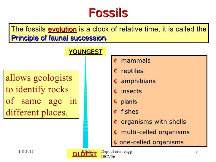 faunal succession relative dating How do scientists study the history of the earth pick up the who's on 1st relative dating activity 7 table describe the principle of faunal succession. faunal succession relative dating How do scientists study the history of the earth pick up the who's on 1st relative dating activity 7 table describe the principle of faunal succession.