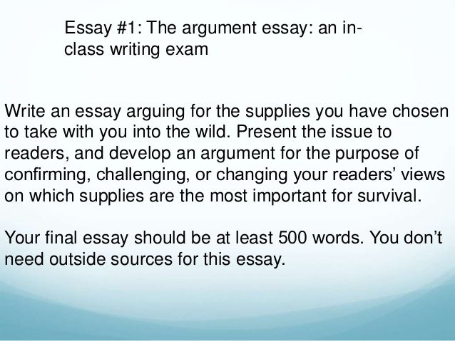Argumentative Essay On Into The Wild