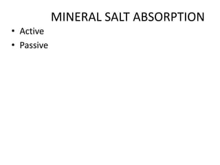 MINERAL SALT ABSORPTION
• Active
• Passive
 
