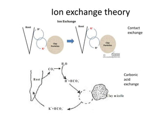 Ion exchange theory
Contact
exchange
Carbonic
acid
exchange
 