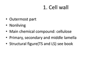 1. Cell wall
• Outermost part
• Nonliving
• Main chemical compound: cellulose
• Primary, secondary and middle lamella
• Structural figure(TS and LS) see book
 