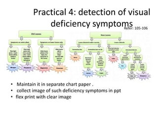 Practical 4: detection of visual
deficiency symptomsRefer: 105-106
• Maintain it in separate chart paper .
• collect image of such deficiency symptoms in ppt
• flex print with clear image
 
