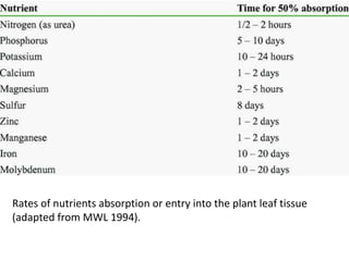 Rates of nutrients absorption or entry into the plant leaf tissue
(adapted from MWL 1994).
 
