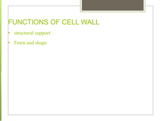 FUNCTIONS OF CELL WALL
• structural support
• Form and shape
 