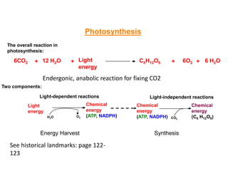 12 H2O
The overall reaction in
photosynthesis:
6CO2 + ++ Light
energy
C6H12O6 6O2 6 H2O+
Photosynthesis
Two components:
Light
energy
H2O O2
Light-dependent reactions
Chemical
energy
(ATP, NADPH)
Chemical
energy
(ATP, NADPH) CO2
Light-independent reactions
Chemical
energy
(C6 H12O6)
Energy Harvest Synthesis
See historical landmarks: page 122-
123
Endergonic, anabolic reaction for fixing CO2
 