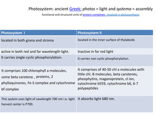Photosystem I Photosystem II
located in both grana and stroma located in the inner surface of thylakoids
active in both red and far wavelength light. Inactive in far red light
It carries single cyclic phosphorylation. It carries non cyclic phosphorylation.
It comprises 100 chlorophyll a molecules,
some beta carotene , proteins, 2
phylloquinones, Fe-S complex and cytochrome
bf complex
It comprises of 40-50 chl a molecules with
little chl. B molecules, beta carotenes,
pheophytins, maganoprotein, cl ion,
cytochrome b559, cytochrome b6, 6-7
polypeptides
This system uses light of vavelength 700 nm i.e. light
harvest center is P700.
It absorbs light 680 nm.
Photosystem: ancient Greek: photos = light and systema = assembly
functional and structural units of protein complexes involved in photosynthesis
 