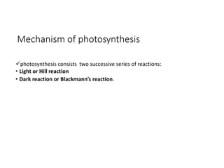 Mechanism of photosynthesis
photosynthesis consists two successive series of reactions:
• Light or Hill reaction
• Dark reaction or Blackmann’s reaction.
 