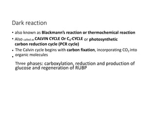 Dark reaction
•
•
also known as Blackmann’s reaction or thermochemical reaction
Also called as CALVIN CYCLE Or C3-CYCLE or photosynthetic
carbon reduction cycle (PCR cycle)
•
•
The Calvin cycle begins with carbon fixation, incorporating CO2 into
organic molecules
Three phases: carboxylation, reduction and production of
glucose and regeneration of RUBP
 