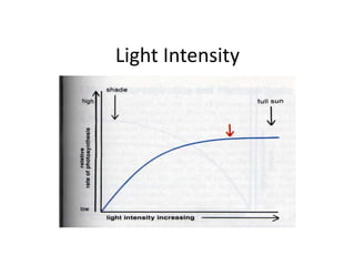 Light Intensity
 