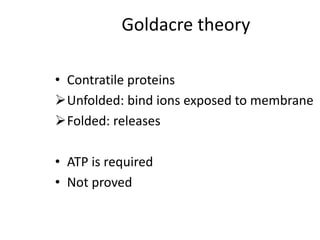 Goldacre theory
• Contratile proteins
Unfolded: bind ions exposed to membrane
Folded: releases
• ATP is required
• Not proved
 
