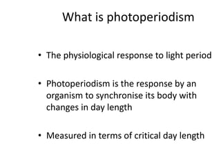 What is photoperiodism
• The physiological response to light period
• Photoperiodism is the response by an
organism to synchronise its body with
changes in day length
• Measured in terms of critical day length
 