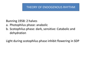 THEORY OF ENDOGENOUS RHYTHM
Bunning 1958: 2 halves
a. Photophilus phase: anabolic
b. Scotophilus phase: dark, sensitive: Catabolic and
dehydration
Light during scotophilus phase inhibit flowering in SDP
 