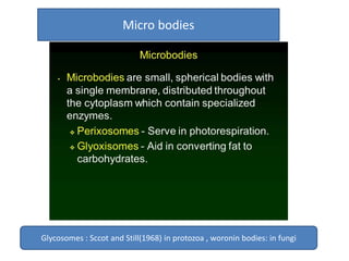 Micro bodies
Glycosomes : Sccot and Still(1968) in protozoa , woronin bodies: in fungi
 