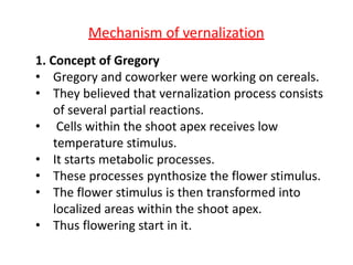 Mechanism of vernalization
1. Concept of Gregory
• Gregory and coworker were working on cereals.
• They believed that vernalization process consists
of several partial reactions.
• Cells within the shoot apex receives low
temperature stimulus.
• It starts metabolic processes.
• These processes pynthosize the flower stimulus.
• The flower stimulus is then transformed into
localized areas within the shoot apex.
• Thus flowering start in it.
 
