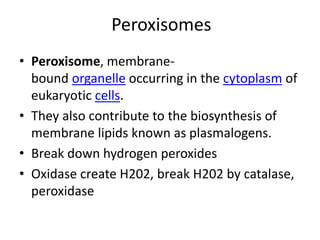 Peroxisomes
• Peroxisome, membrane-
bound organelle occurring in the cytoplasm of
eukaryotic cells.
• They also contribute to the biosynthesis of
membrane lipids known as plasmalogens.
• Break down hydrogen peroxides
• Oxidase create H202, break H202 by catalase,
peroxidase
 