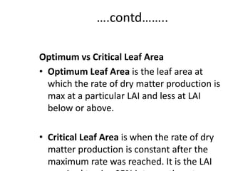 ….contd……..
Optimum vs Critical Leaf Area
• Optimum Leaf Area is the leaf area at
which the rate of dry matter production is
max at a particular LAI and less at LAI
below or above.
• Critical Leaf Area is when the rate of dry
matter production is constant after the
maximum rate was reached. It is the LAI
 