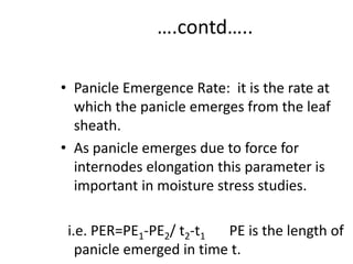 ….contd…..
• Panicle Emergence Rate: it is the rate at
which the panicle emerges from the leaf
sheath.
• As panicle emerges due to force for
internodes elongation this parameter is
important in moisture stress studies.
i.e. PER=PE1-PE2/ t2-t1 PE is the length of
panicle emerged in time t.
 