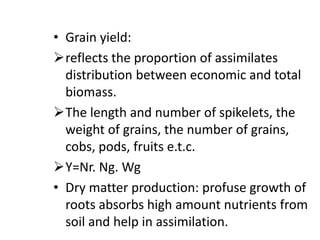 • Grain yield:
reflects the proportion of assimilates
distribution between economic and total
biomass.
The length and number of spikelets, the
weight of grains, the number of grains,
cobs, pods, fruits e.t.c.
Y=Nr. Ng. Wg
• Dry matter production: profuse growth of
roots absorbs high amount nutrients from
soil and help in assimilation.
 