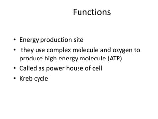 Functions
• Energy production site
• they use complex molecule and oxygen to
produce high energy molecule (ATP)
• Called as power house of cell
• Kreb cycle
 