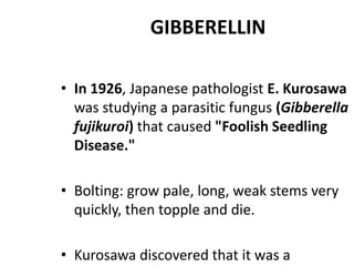 GIBBERELLIN
• In 1926, Japanese pathologist E. Kurosawa
was studying a parasitic fungus (Gibberella
fujikuroi) that caused "Foolish Seedling
Disease."
• Bolting: grow pale, long, weak stems very
quickly, then topple and die.
• Kurosawa discovered that it was a
 