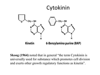 Cytokinin
Skoog (1964) noted that in general “the term Cytokinin is
universally used for substance which promotes cell division
and exerts other growth regulatory functions as kinetin”.
 