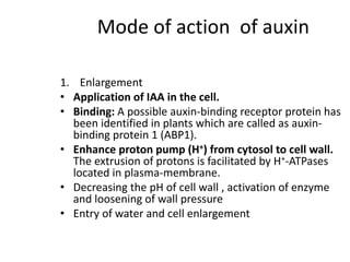 Mode of action of auxin
1. Enlargement
• Application of IAA in the cell.
• Binding: A possible auxin-binding receptor protein has
been identified in plants which are called as auxin-
binding protein 1 (ABP1).
• Enhance proton pump (H+) from cytosol to cell wall.
The extrusion of protons is facilitated by H+-ATPases
located in plasma-membrane.
• Decreasing the pH of cell wall , activation of enzyme
and loosening of wall pressure
• Entry of water and cell enlargement
 