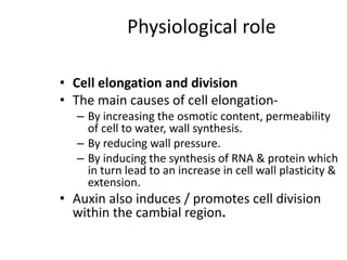 Physiological role
• Cell elongation and division
• The main causes of cell elongation-
– By increasing the osmotic content, permeability
of cell to water, wall synthesis.
– By reducing wall pressure.
– By inducing the synthesis of RNA & protein which
in turn lead to an increase in cell wall plasticity &
extension.
• Auxin also induces / promotes cell division
within the cambial region.
 