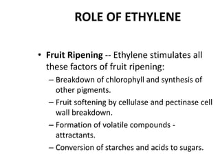 ROLE OF ETHYLENE
• Fruit Ripening -- Ethylene stimulates all
these factors of fruit ripening:
– Breakdown of chlorophyll and synthesis of
other pigments.
– Fruit softening by cellulase and pectinase cell
wall breakdown.
– Formation of volatile compounds -
attractants.
– Conversion of starches and acids to sugars.
 