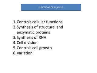 FUNCTIONS OF NUCLEUS
1.Controls cellular functions
2.Synthesis of structural and
enzymatic proteins
3.Synthesis of RNA
4.Cell division
5.Controls cell growth
6.Variation
 