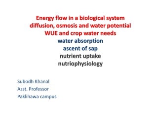 Energy flow in a biological system
diffusion, osmosis and water potential
WUE and crop water needs
water absorption
ascent of sap
nutrient uptake
nutriophysiology
Subodh Khanal
Asst. Professor
Paklihawa campus
 