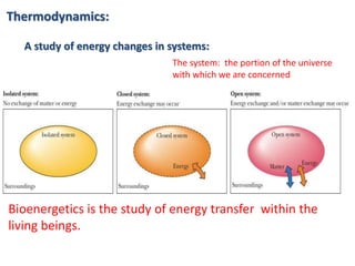 Thermodynamics:
A study of energy changes in systems:
The system: the portion of the universe
with which we are concerned
Bioenergetics is the study of energy transfer within the
living beings.
 