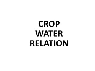 CROP
WATER
RELATION
 
