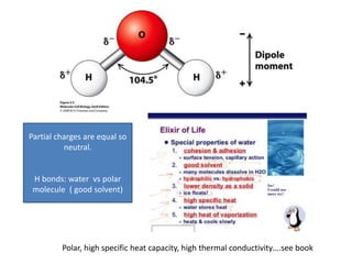 Polar, high specific heat capacity, high thermal conductivity….see book
Partial charges are equal so
neutral.
H bonds: water vs polar
molecule ( good solvent)
 