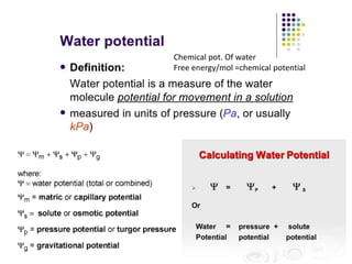 Chemical pot. Of water
Free energy/mol =chemical potential
 