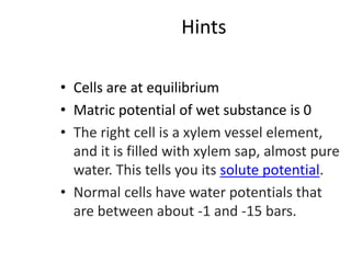Hints
• Cells are at equilibrium
• Matric potential of wet substance is 0
• The right cell is a xylem vessel element,
and it is filled with xylem sap, almost pure
water. This tells you its solute potential.
• Normal cells have water potentials that
are between about -1 and -15 bars.
 