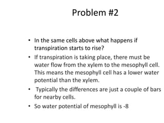 Problem #2
• In the same cells above what happens if
transpiration starts to rise?
• If transpiration is taking place, there must be
water flow from the xylem to the mesophyll cell.
This means the mesophyll cell has a lower water
potential than the xylem.
• Typically the differences are just a couple of bars
for nearby cells.
• So water potential of mesophyll is -8
 