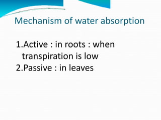 Mechanism of water absorption
1.Active : in roots : when
transpiration is low
2.Passive : in leaves
 