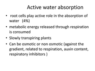 Active water absorption
• root cells play active role in the absorption of
water (4%)
• metabolic energy released through respiration
is consumed
• Slowly transpiring plants
• Can be osmotic or non osmotic (against the
gradient, related to respiration, auxin content,
respiratory inhibitors )
 