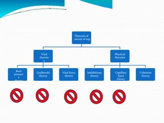 Theories of
ascent of sap
Vital
theorie
s
Physical
theories
Root
pressur
e
theory
Godlewski
theory
Vital force
theory
Imbibitions
theory
Capillary
force
theory
Cohesion
theory
 