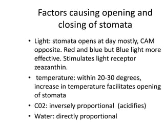 Factors causing opening and
closing of stomata
• Light: stomata opens at day mostly, CAM
opposite. Red and blue but Blue light more
effective. Stimulates light receptor
zeazanthin.
• temperature: within 20-30 degrees,
increase in temperature facilitates opening
of stomata
• C02: inversely proportional (acidifies)
• Water: directly proportional
 