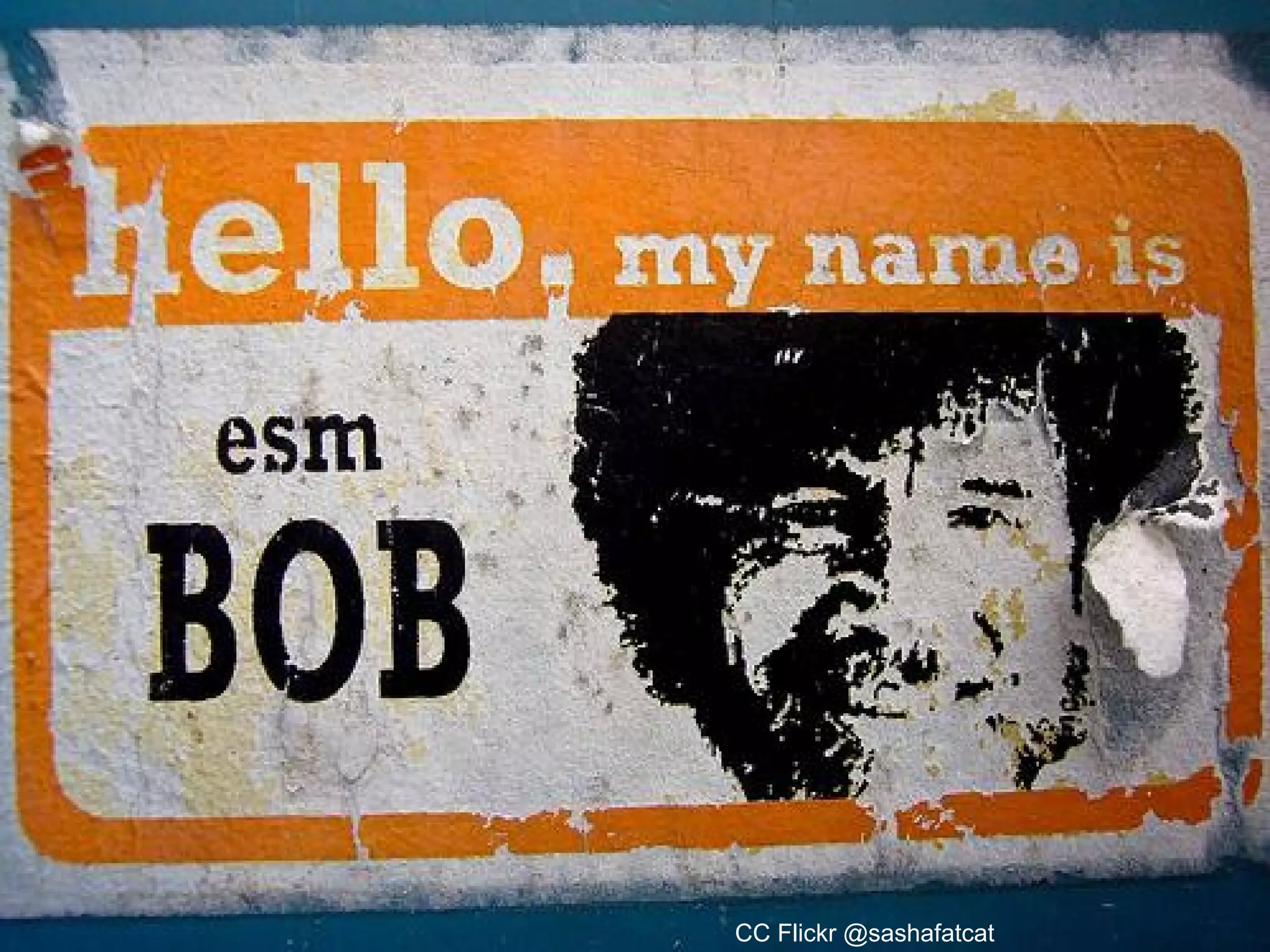 CC Flickr @sashafatcat

 