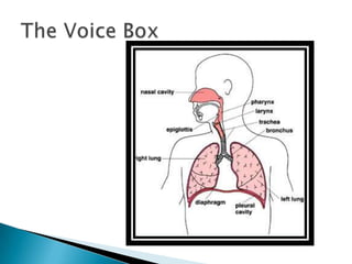 Theatre Games for the Classroom (Viola Spolin)