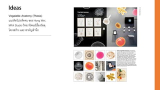 Vegatable Anatomy (Thesis)
แนวคิดโปรเจ็คจบ ของ Hong Wei,
MFA Studio วิทยานิพนธ์เรื่องวัสดุ
โครงสร้าง และ สามัญสานึก
 